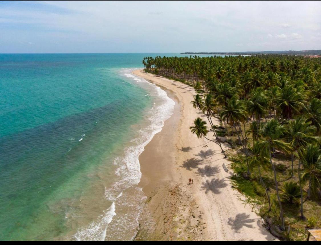 Praia Dos Carneiros Eco Resort Luxuoso ตามังดาเร ภายนอก รูปภาพ